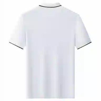 Automobili Lamborghini Polo