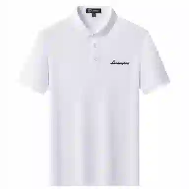 Automobili Lamborghini logoPolo