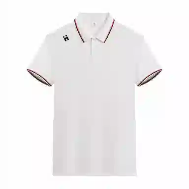 33TH LogoPolo