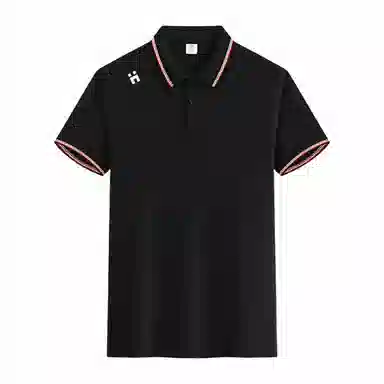 33TH LogoPolo