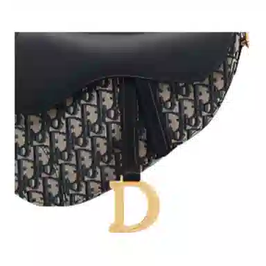 DIOR Soft Saddle Oblique