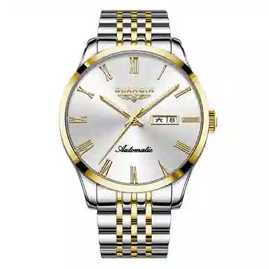 GUANQIN Automatic Mechanical Watch