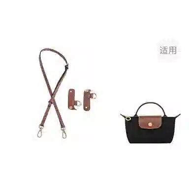 Jingxi Longchamp Mini
