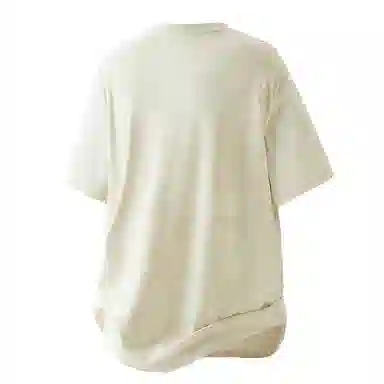 LISENPOK T