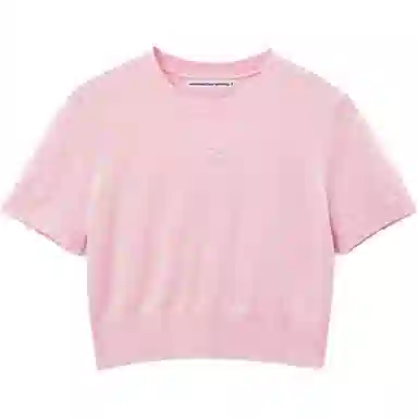 alexander wang FW24 T