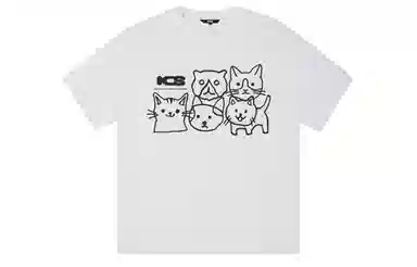 ICONS Lab ICS T
