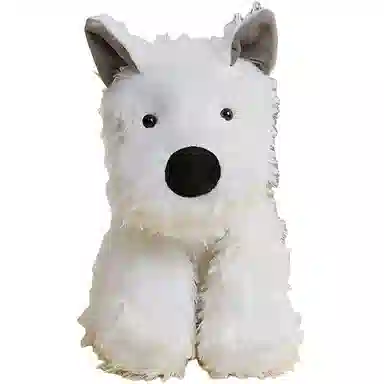22cm30cm40cm