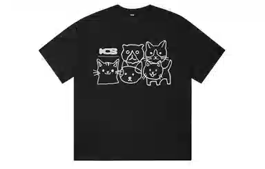 ICONS Lab ICS T