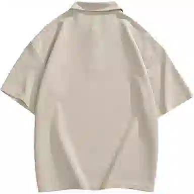 a02 LogoPolo