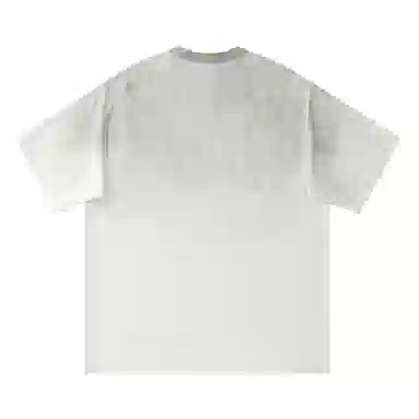 HIPANDA T