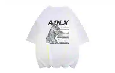 Aolx logoT