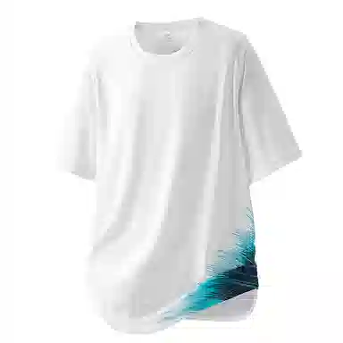 LISENPOK T