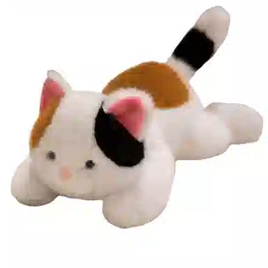32cm