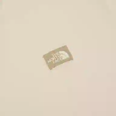 THE NORTH FACE LogoT