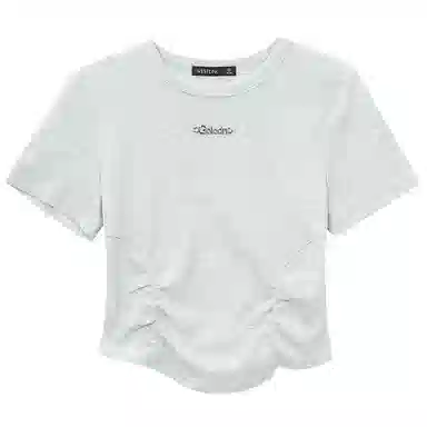 WESTLINK T