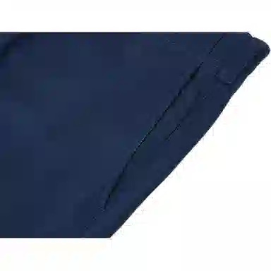Dickies Logo