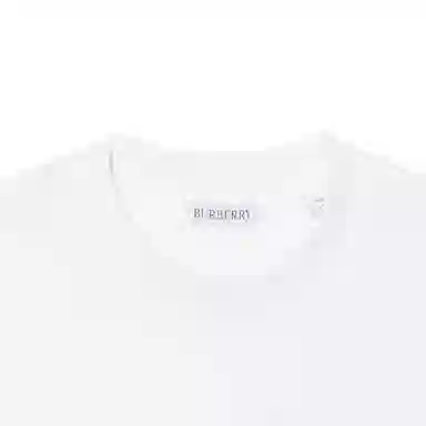 Burberry T