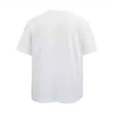 SUNSETMONENT 260boxyT