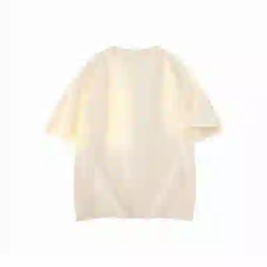 IE T
