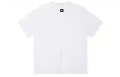 ICONS Lab ICS T