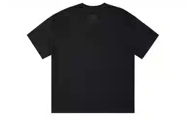 ICONS Lab ICS T