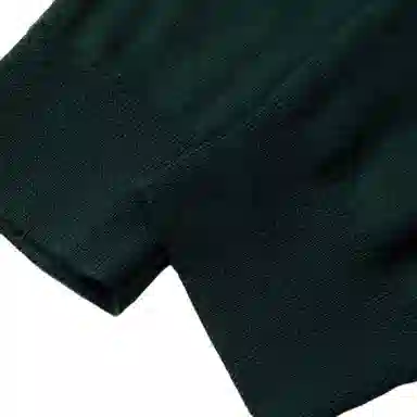 Polo Ralph Lauren FW23 LogoV