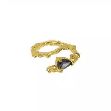 Quarqor S925