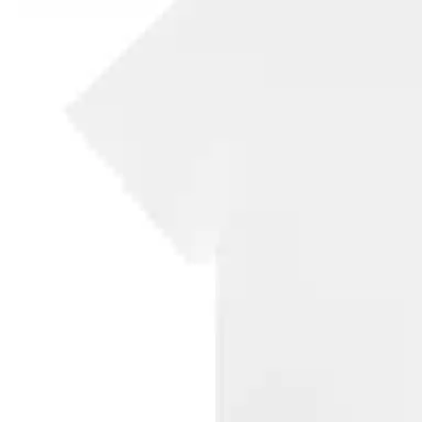 Lanvin T