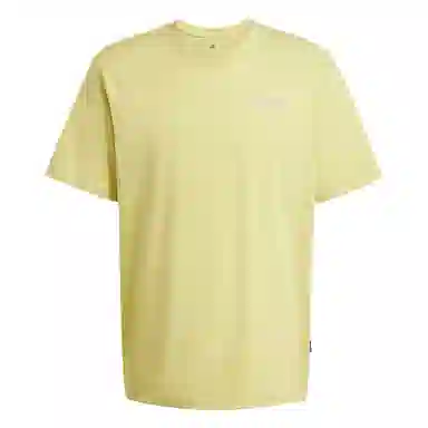 adidas Terrex POLYGIENE GRAPHIC T