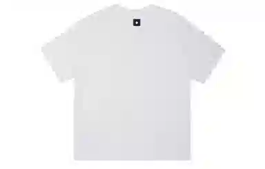 ICONS Lab ICS T