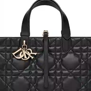 DIOR Toujours