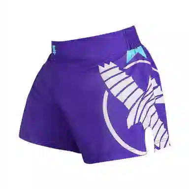 Hayabusa Shorts