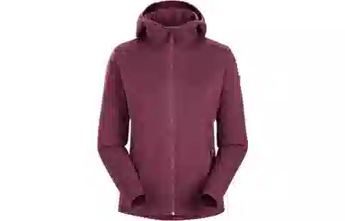 Arcteryx Covert Hoody Logo