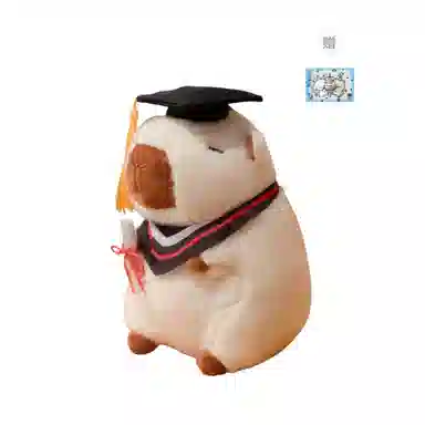 23cm