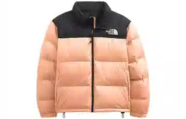 THE NORTH FACE Plus 1996 Nuptse Logo