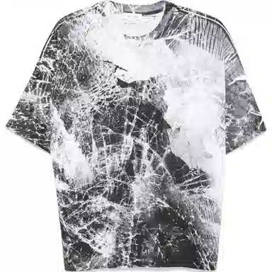 Alexander McQueen T