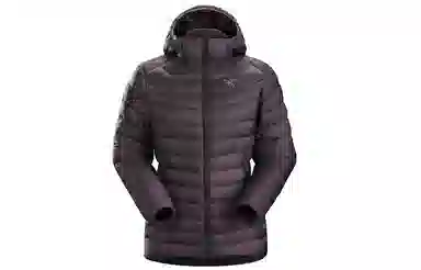Arcteryx Cerium LT Hoody
