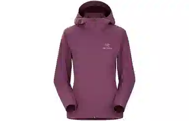 Arcteryx GAMMA SL Hoody Homen's Logo