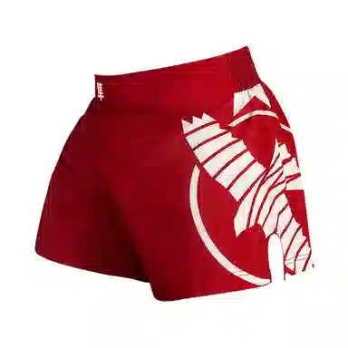 Hayabusa Shorts