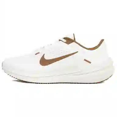 Nike Air Winflo 10 White