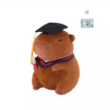 23cm
