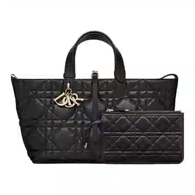 DIOR Toujours