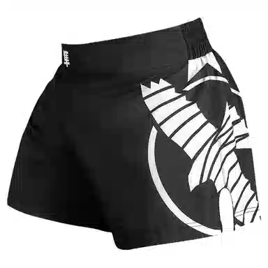 Hayabusa Shorts