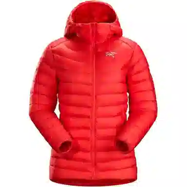 Arcteryx Cerium LT Hoody