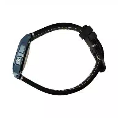 CASIO DIGITAL F-91WS-2