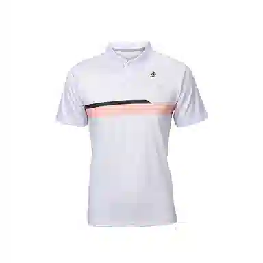 Kawasaki logoPolo