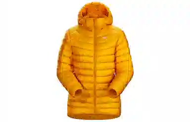 Arcteryx Cerium LT Hoody