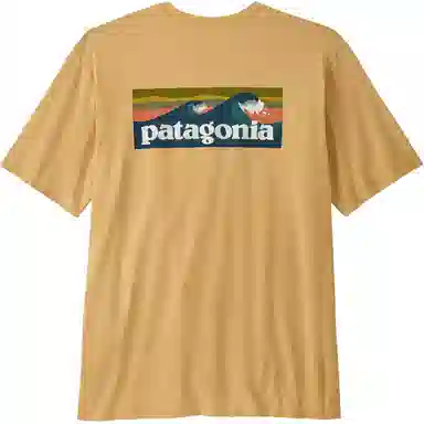patagonia T