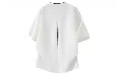 PAEFA T