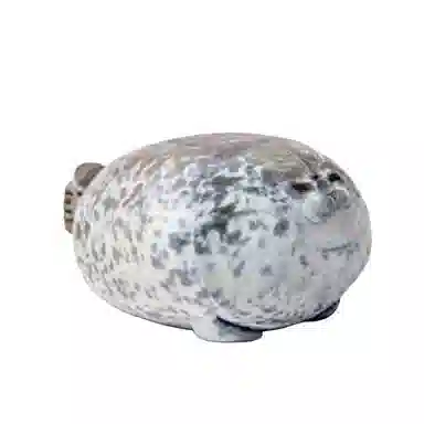 20cm40cm60cm80cm100cm